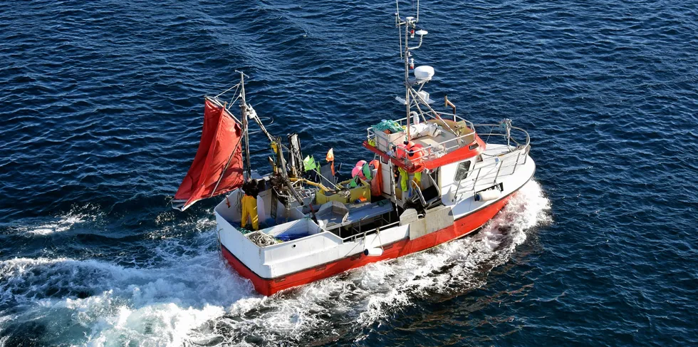 Etter erfaringene fra fjorårets lofotfiske, mener Norges Fiskarlag garnfiskerne bør få kompensert kostnadene til pingere på garnbruket.