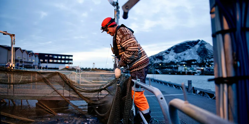 Lakseslakteriet Nova Sea på øya Lovund.