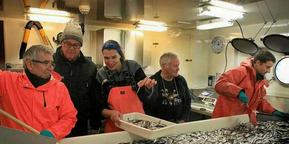 LODDETOKT: Jaime Alvarez (t.v.), Magnus Johannessen, Tatjana Prokhorova, Lage Drivenes og Adam Custer sorterer lodde fra loddetokt.Foto: Georg Skaret, Havforskningsinstituttet