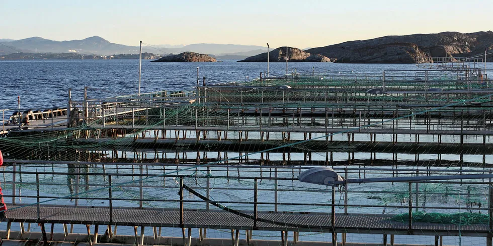 Blom Fiskeoppdrett er ett av de tre selskapene som samarbeider med Nofima om FoU-tillatelsene.