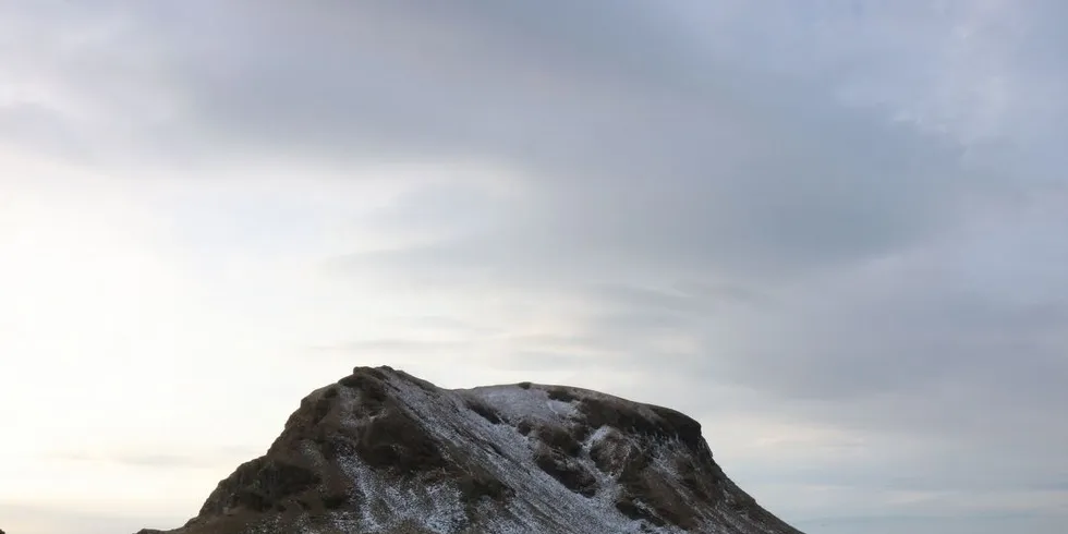 Nord-Europas mest aktive fuglefjell. Flere tusen sjøfugler hekker på fjellet som er forbudt for mennesker å gå i land. Flere mener man setter fuglelivet på spill dersom man tillater olje i området. Foto: Jørn Mikael Hagen.