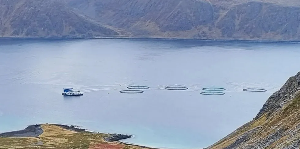 Fisken rømte fra dette anlegget i Nordkapp kommune.