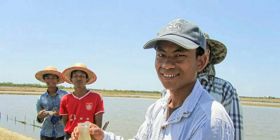 Shrimp farmers in Myanmar.