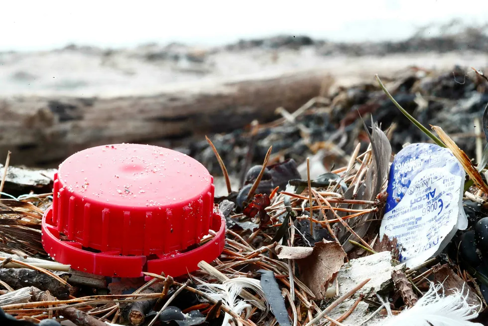 I disse dager dukker det opp plast, mikroplast og mye skrot i strandkanten rundt om i hele landet. Her fra Bygdøy i Oslo. Foto: Pedersen, Terje