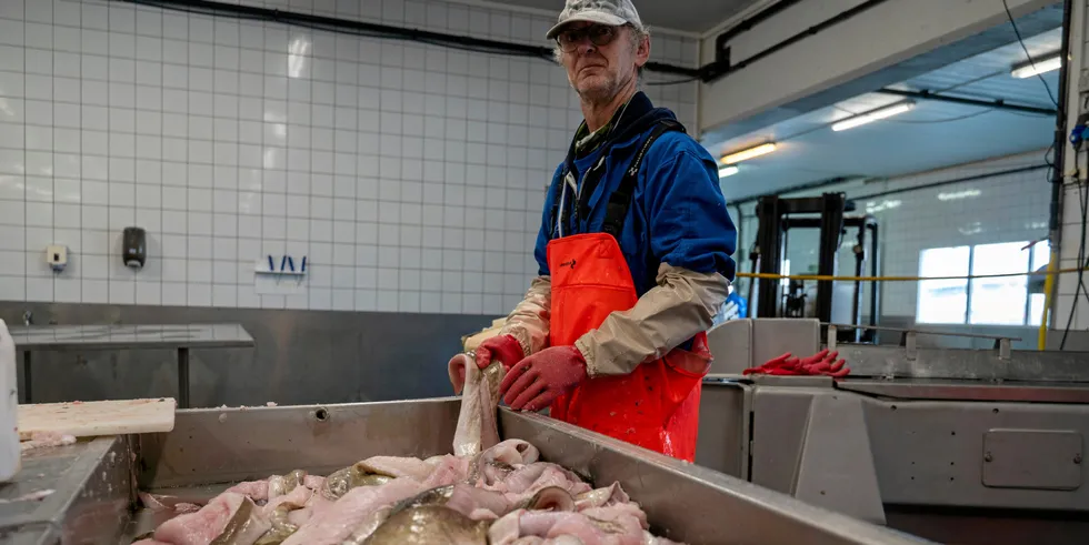 Fiskeribladet i 100: Møt Hallgeir Strand hos Ole Løvold fisk og fiskemat på Langøya, på Averøy.