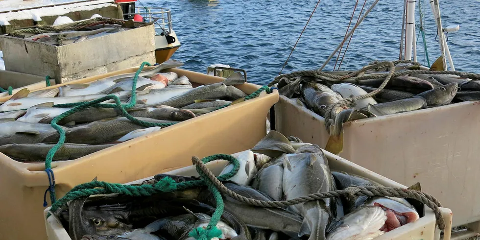 TO ORDNINGER: Sjarker i «kø» i mars i år for å levere til Tobø Fisk i Havøysund. Fiskerikontrollutvalget har foreslått at framtidig ressurskontroll finansieres av «inndratte midler». NDF foreslår at føringstilskudd finansieres fra de samme midlene.