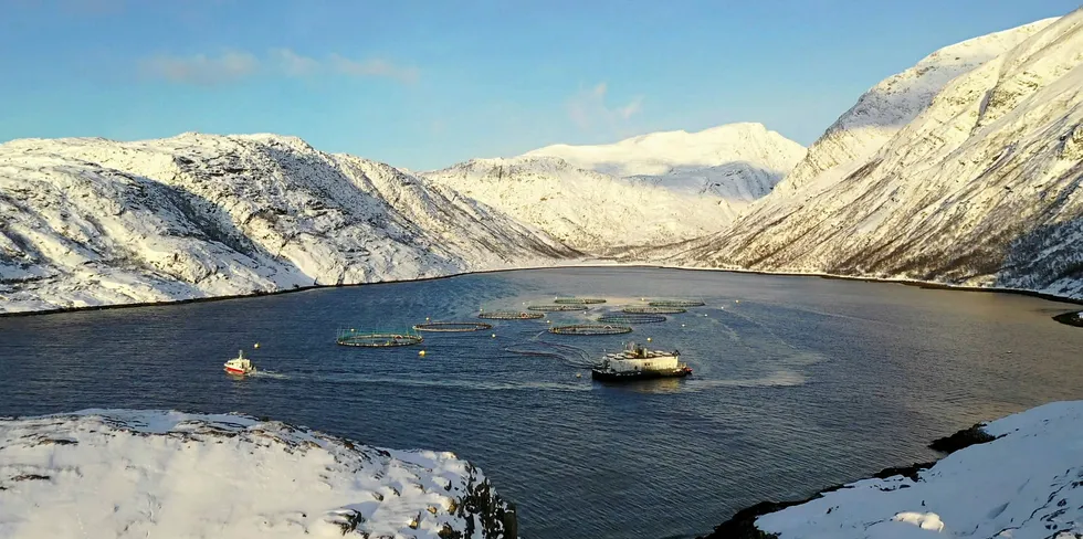 Norway Royal Salmon (NRS) selger rundt 70 000 tonn laks hvert år. Dette tilsvarer en million laksemåltider per dag, året rundt.