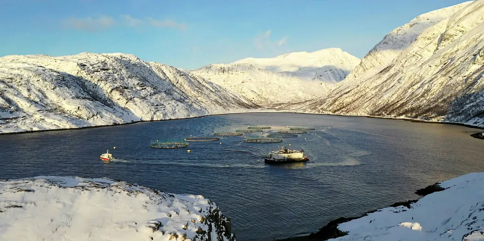 Norway Royal Salmon (NRS) driver lakseproduksjon i Troms og Finnmark.