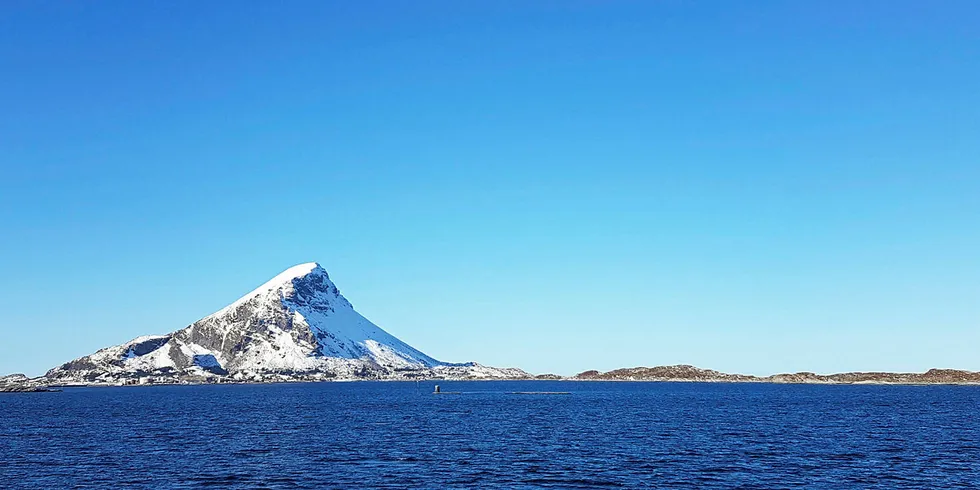 HELGELAND: En stor NIVA-rapport konkluderer med at økosystemene og kystmiljøet på Helgelandskysten er i meget god forfatning. – Tilstanden for det biologiske mangfoldet i Midt-Norge har dessuten blitt stabilt bedre de siste 25 årene, melder forskerne.