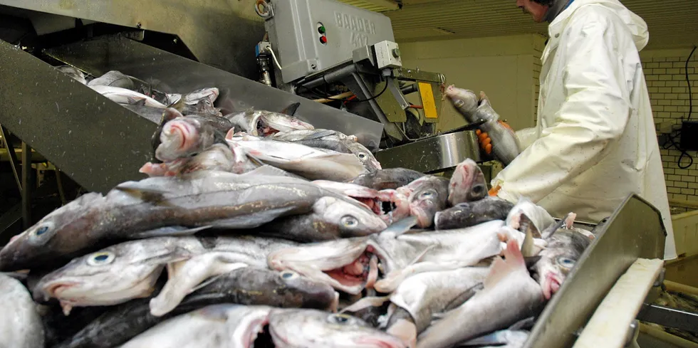 Bedriften driver fiskemottak og foredling av fisk.
