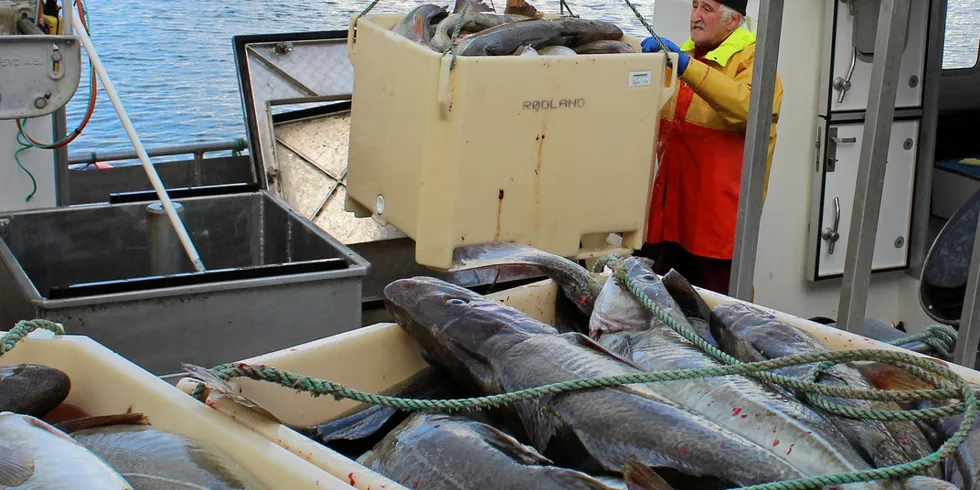 Fiskere som skal levere ved Jangaard Export på Røst oppfordres til å koronateste seg før sesongen. Sjømat Norge synes ideen er fornuftig, mens Steinar Eliassen i FiFor er mer skeptisk.