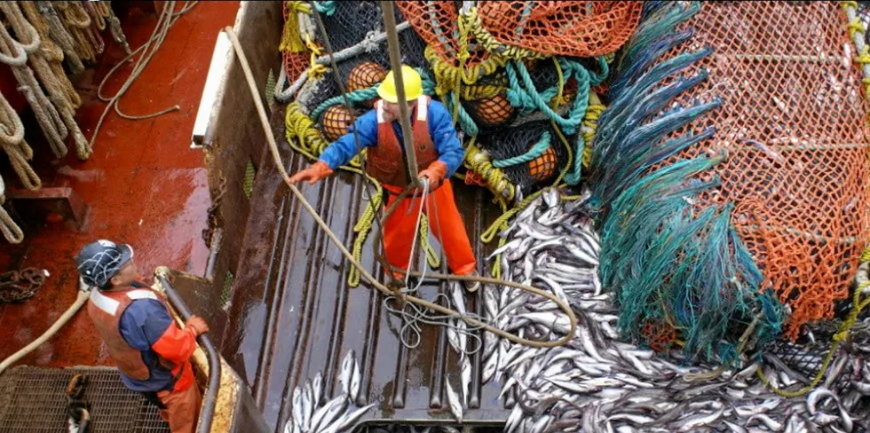 Alaska Native communities that rely on chum salmon subsistence fishing for food say the Alaska pollock industry's chum salmon bycatch levels are problematic.