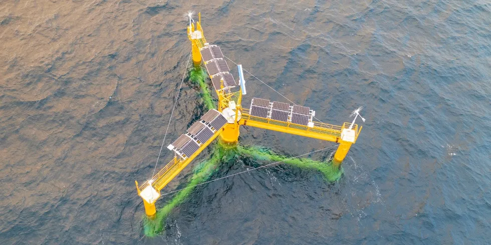 Ocergy floating databuoy installed in French Mediterranean