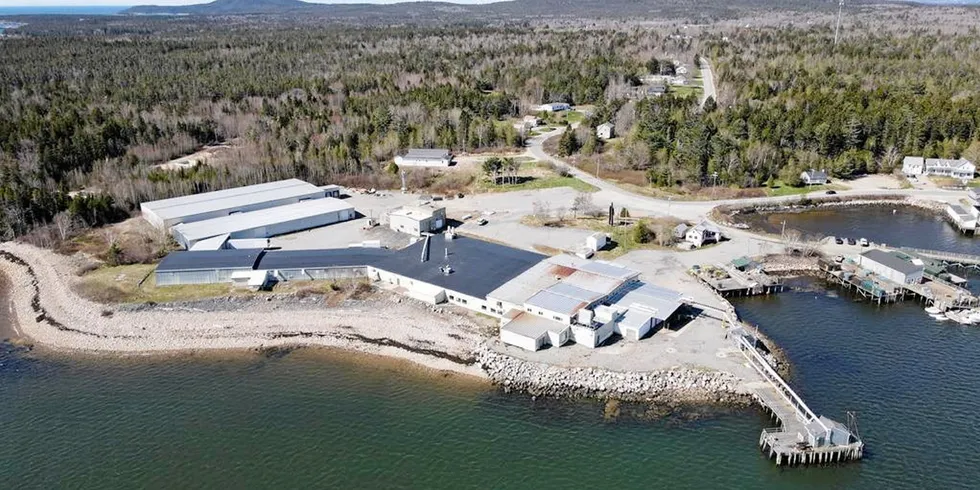 The former East Coast Seafood Group facility in Goulsboro, Maine is up for auction.