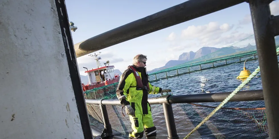 Luseproblemene vokser i laksenæringen. Foto: Ole Morten Melgård