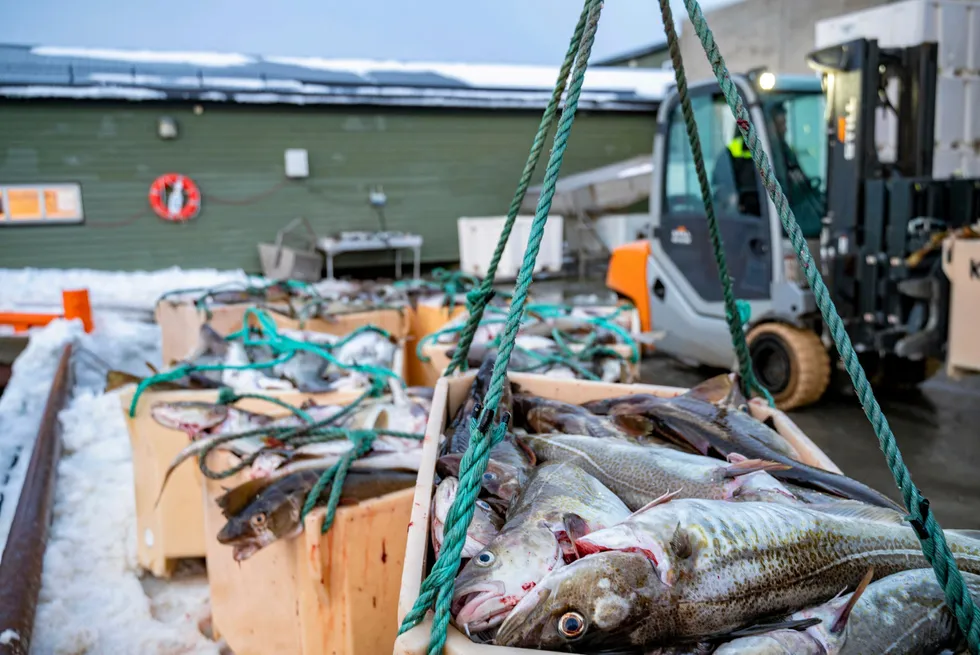 Spillereglene for neste års torskefiskerier i nord er klare.