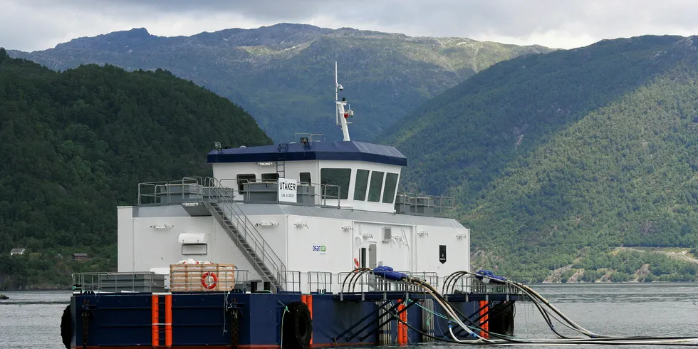 Marine Harvest. Her fra lokaliteten Utåker i Kvinnherad kommune.