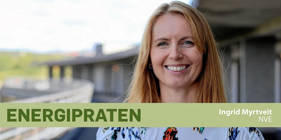 Ingrid Myrtveit jobbet i Statnett før hun fikk jobb som seksjonsleder i NVE.