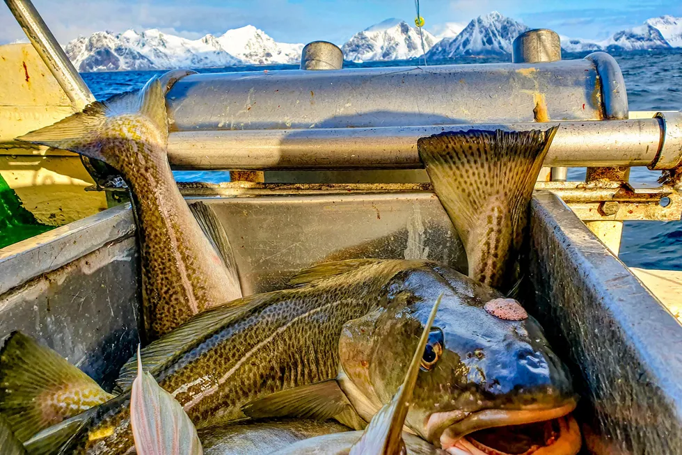 Russian bans, logistics hiccups and the growing impact of climate change are all on the minds of the global whitefish industry.