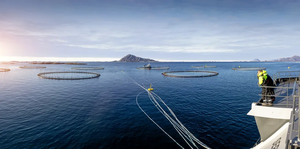 Norcod produserer torsk blant annet her på lokaliteten Frosvika i Meløy kommune i Nordland.