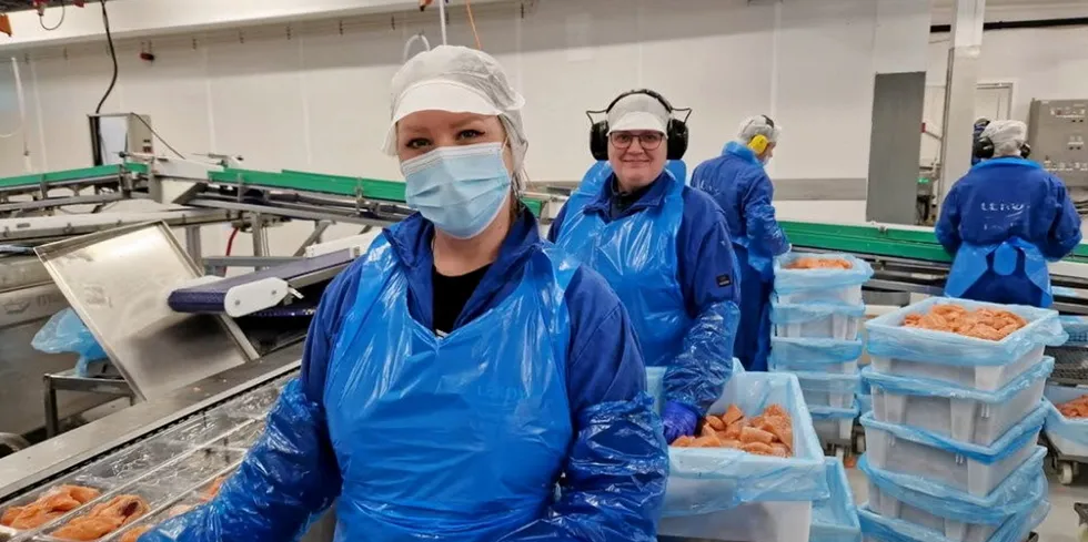 Dominika Pasakova og Mona Hammer pakker laksebiter i porsjonspakker ved Lerøy fabrikk i Hestvika, Trøndelag.