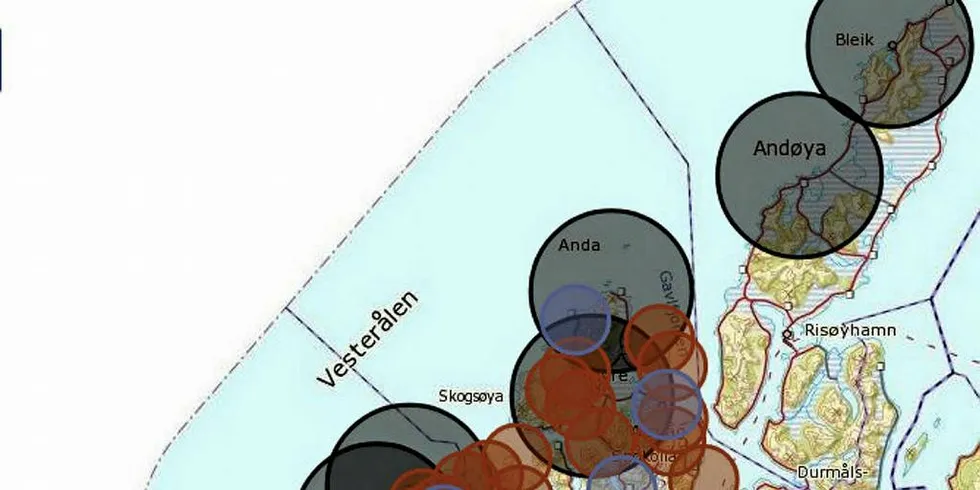 UTFORDRING: Kartet viser plassproblemer på grunn av avstandskrav i Vesterålen. Kartangivelsene er omtrentlige, og illustrerer problemet generelt. Sort: mottaksanlegg (hvitfisk) – 10 km diameter. Rød: matfiskanlegg (laks, ørret, regnbueørret) – 5 km. Lilla: slakteanlegg og setteanlegg (havbruk) – 5 km. Grønn: Særtillatelser som visningsanlegg – 5 km. Orange: Andre matfiskanlegg som ishavsrøye – 5 km. Rosa: Annet havbruk som skjell og alger – 5 km. Illustrasjon: Ronja Gabrielsen/Arena Torsk<