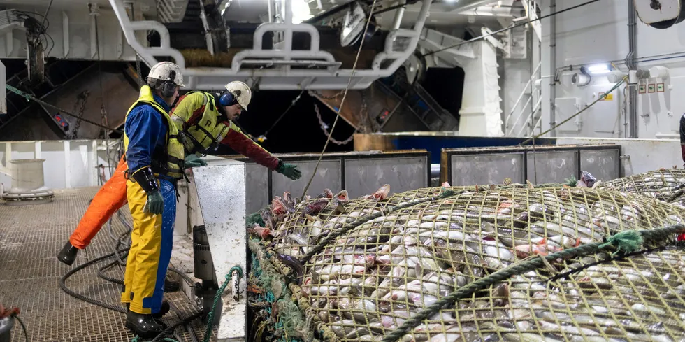 Hovedtillitsvalgt i Lerøy Havfisk reagerer sterkt på at Kystfiskarlaget kimser av at ansatte i havfiskeflåten får reduserte inntekter.