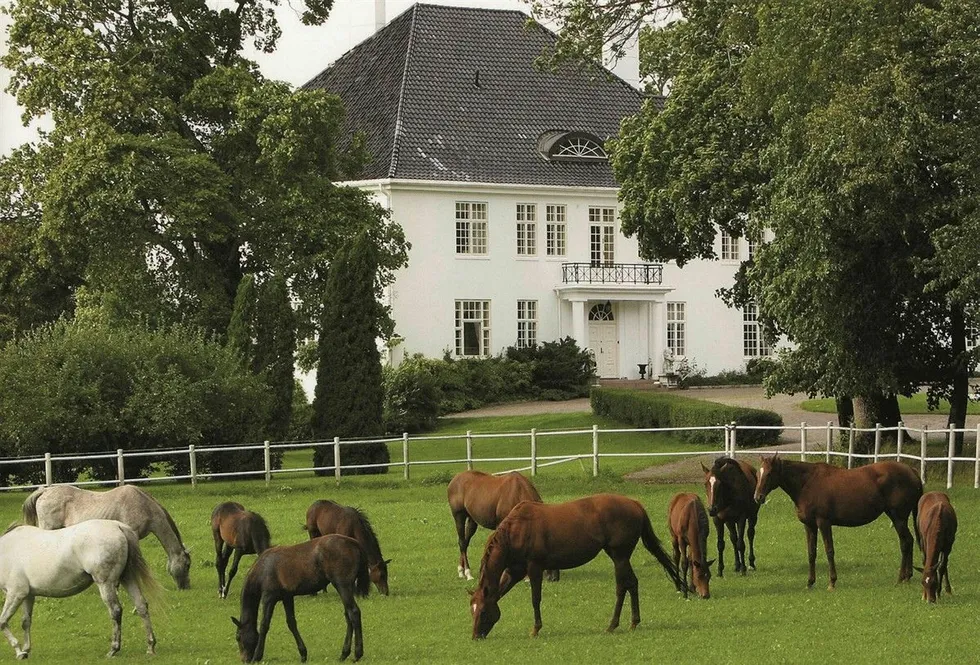 Schibsted-arving Einar Nagell-Erichsen har lenge dyrket hesteinteressen. Den som kjøper Semb Hovedgård får rikelig med stallplass om de deler interessen.