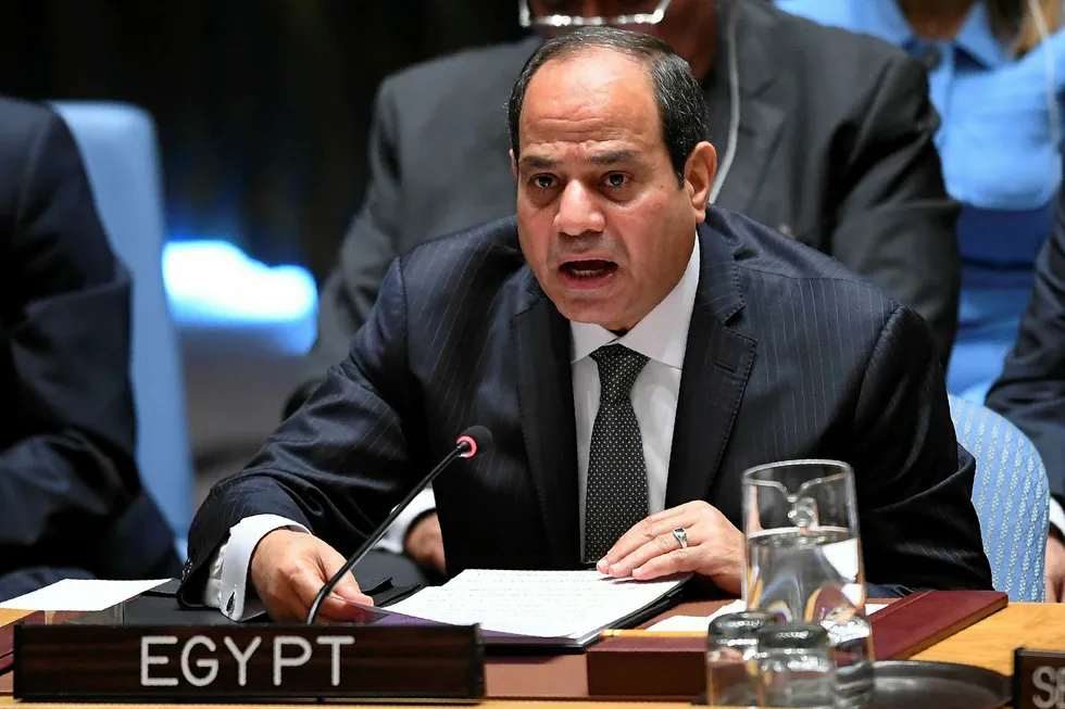Libya move: Egyptian President Abdel Fattah el Sisi speaking at a meeting of the UN Security Council