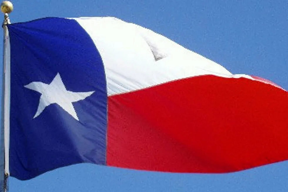 Option: Halcon bags more Texas acreage