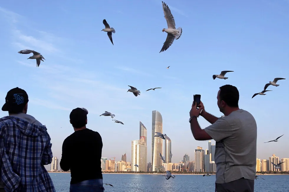 Flying high: seagulls in front of the city skyline in Abu Dhabi