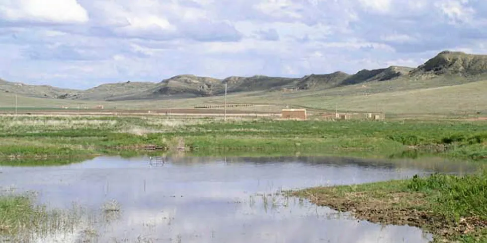 Våtmarker som har blitt laget av CMB i Powder River–bassenget i Wyoming.