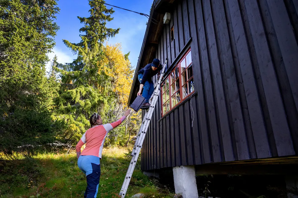 Sigfred og Martine Nomell Havdahl har lenge ønsket å kjøpe seg hytte på fjellet. På visning i Hamregrenda hyttefelt i Eggedal går de grundig gjennom hytta.