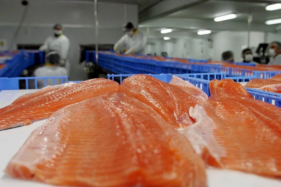 It was another strong quarter for Chilean salmon shipments to China.