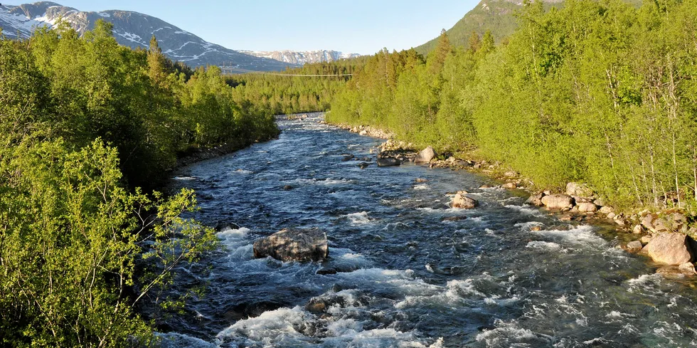 Illustrasjonsfoto av ei norsk elv i Nordland.