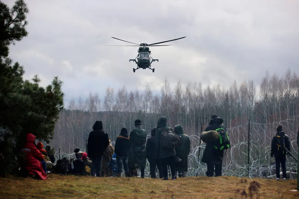 Migranter ved grensen mellom Polen og Hviterussland i Grodno-regionen forsøker å ta seg gjennom piggtrådsperringen.