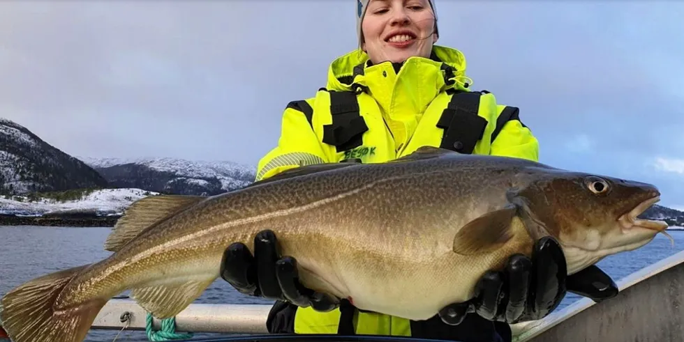 Norcod is preparing for its first commercial harvest of fresh cod now during the third quarter.