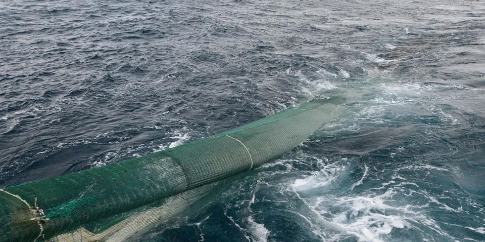 Fra årets økosystemtokt Barentshavet. Foto: Havforskningsinstituttet