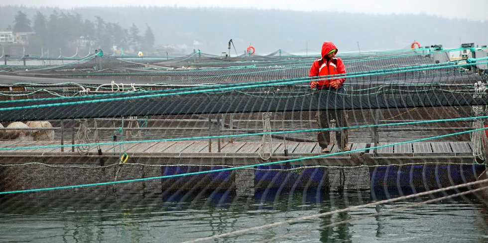 Cooke aquaculture Hope Island salmon farm site in Washington state.