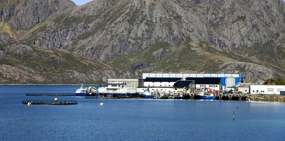 Egil Kristoffersen og Sønner holder til i Bø kommune i Nordland.