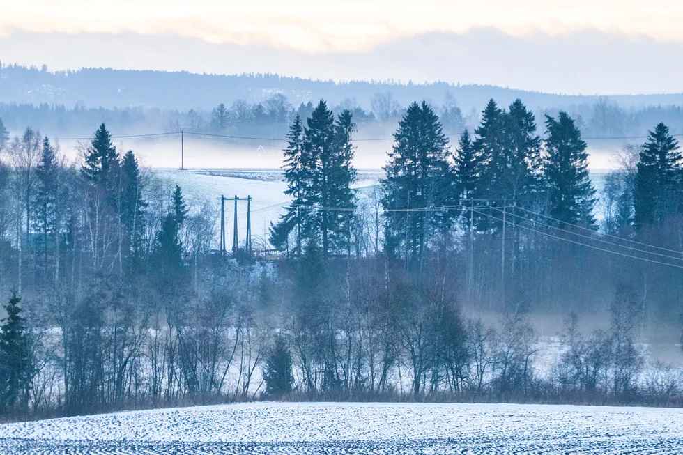 Strømkabler strekker seg gjennom vinterlandskapet ved Vormsund.