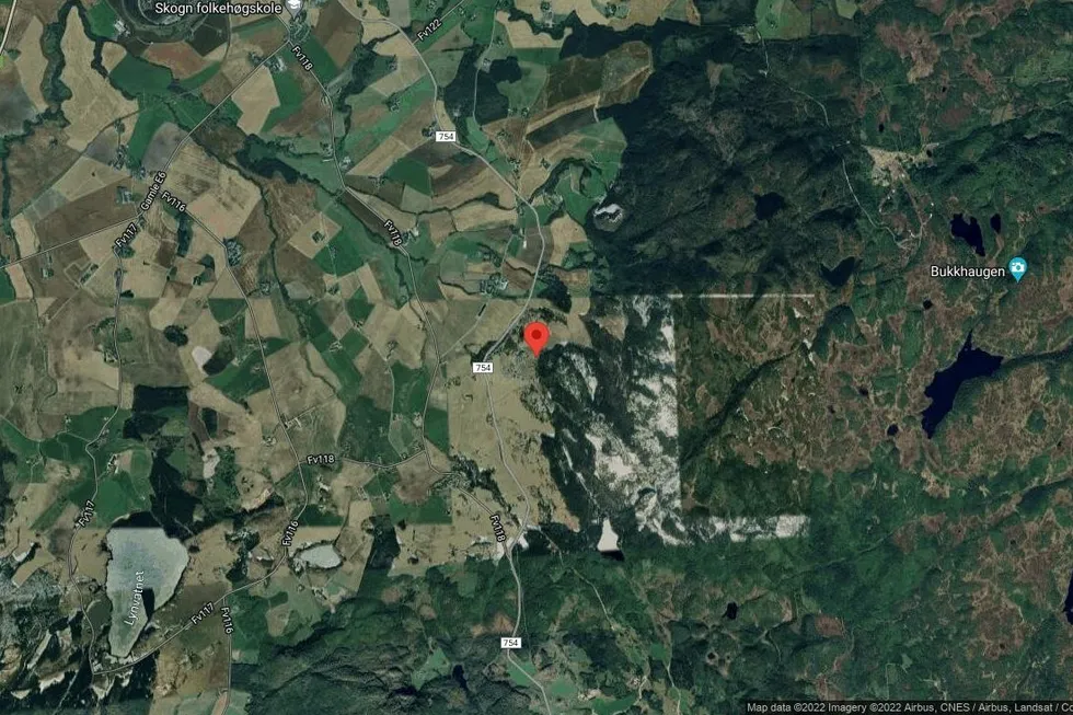 Området rundt Bjørnangvegen 31, Levanger, Trøndelag