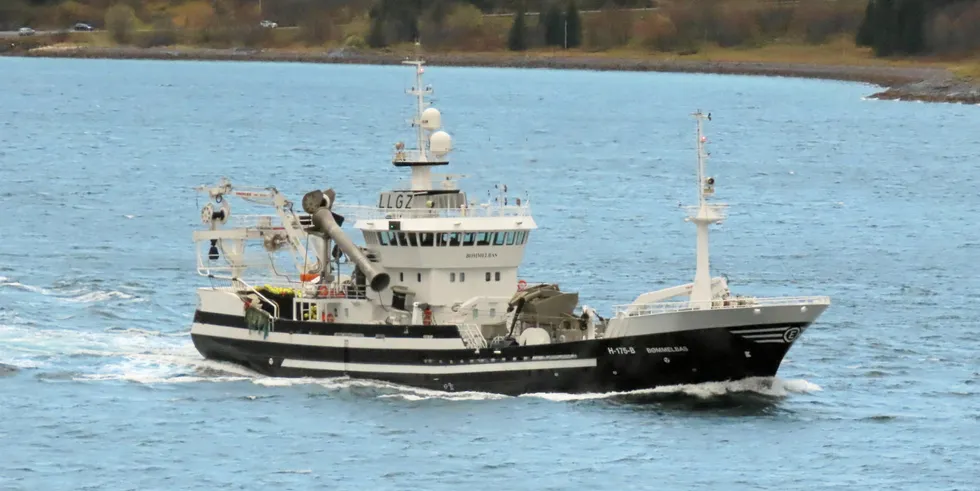 «Bømmelbas» med god uttelling på storsild inn fra havet.