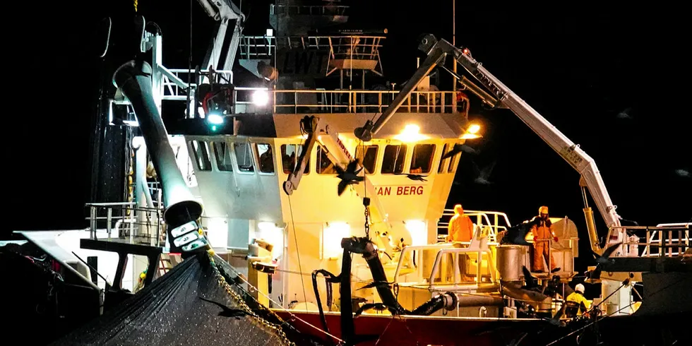 LABERT: Sildefiske på Kvænangen er litt bedre enn ute i havet, men generelt er fisket nokså labert.