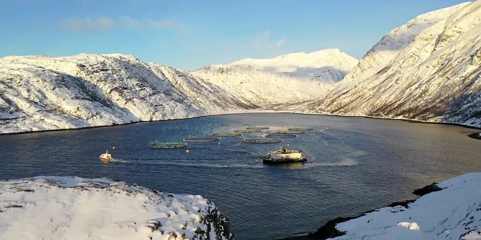 Norway Royal Salmon (NRS) selger rundt 70 000 tonn laks hvert år.