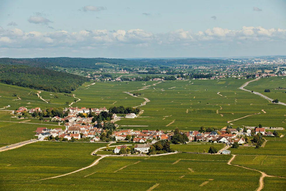Burgund er et lappeteppe av de gjeveste vinmarkene i verden. Vi har testet 90 viner fra Burgund som slippes på i mai.