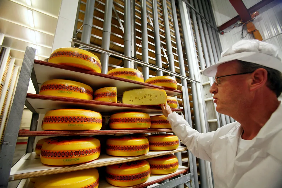 Meieriet i Elnesvågen utenfor Molde har i en årrekke vært basen produksjon av Jarlsberg-osten. Nå skal eksportproduksjonen av Jarlsberg flagges ut, og Tine har nå gjort oppkjøp i USA for å sikre distribusjonen.