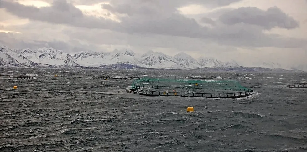 Skjermdump fra fôrsentralen til Wilsgård Fiskeoppdrett i Torsken på Senja i Troms tidligere denne uken.