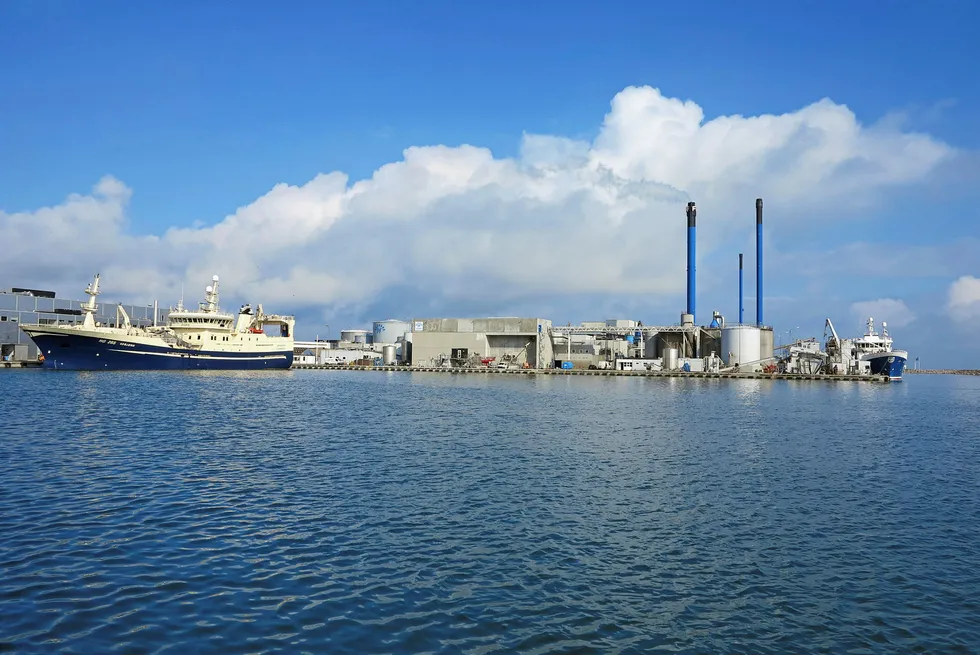 FF Skagen's fishmeal processing plant in Skagen, Denmark.