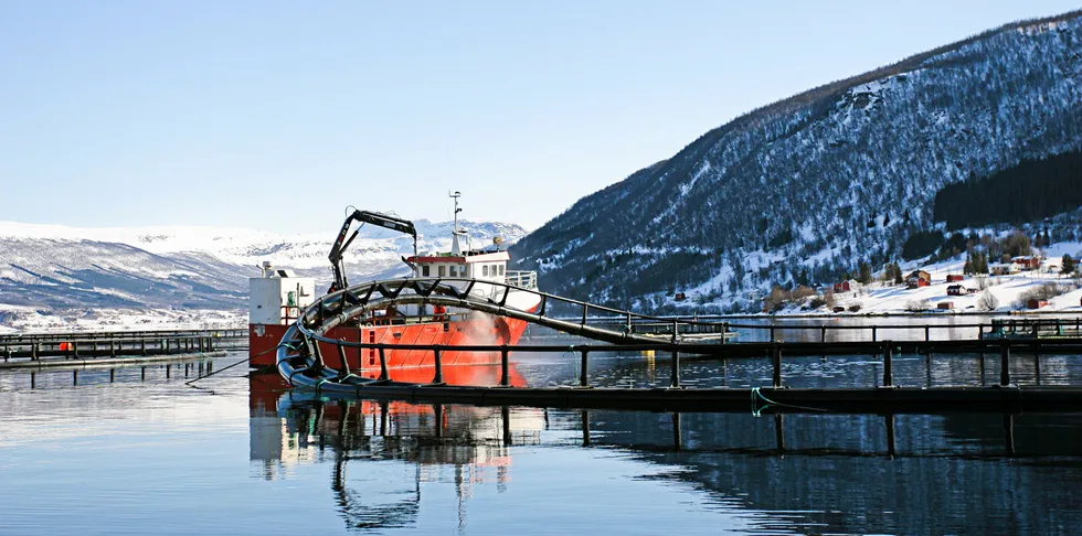 Salaks er eit av selskapa som vart ramma av ILA både i 2019 og 2020. Her blir laksemerdar i Lavangen i Sør-Troms vaska.